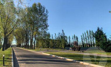 Lote a laguna en venta -  Barrio La Alameda II, Canning