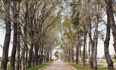 Lote a laguna en venta -  Barrio La Alameda II, Canning