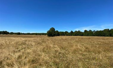 Parcela en Venta en Maullín