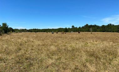 Parcela en Venta en Maullín