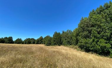 Parcela en Venta en Maullín