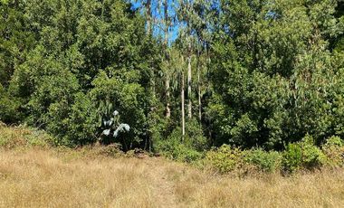 Parcela en Venta en Maullín