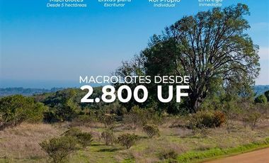 Parcela en Venta en Parque Algarrobo