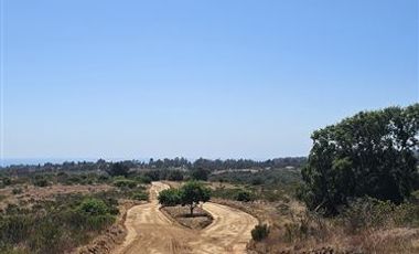 Parcela en Venta en Parque Algarrobo