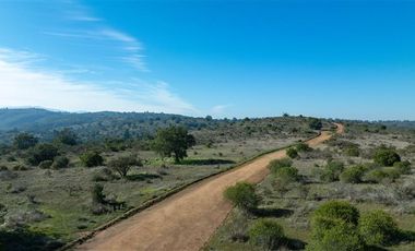 Parcela en Venta en Parque Algarrobo