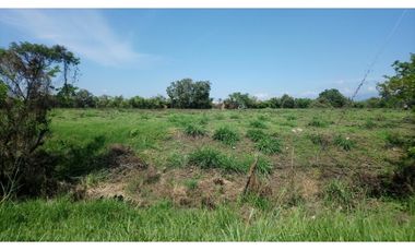 Venta Lote Comercial 6.000 m² | Panamericana | Frente a Terranova