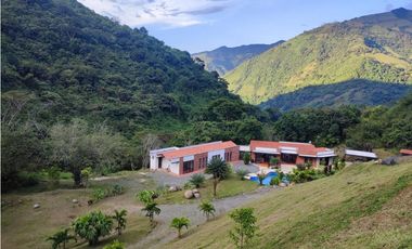 Venta de finca en Titiribi- sector Albania