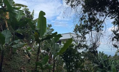 VENTA DE CASA MODERNA Y LUJOSA EN EL SECTOR EXCLUSIVO DE DAPA YUMBO