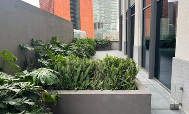 Oficina acondicionada en renta Downtown Reforma con terraza