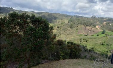CMCA LOTE PARCELACION SAN VICENTE FERRER, Antioquia