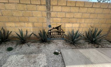 Casa venta Frac. Los Cataros Apaseo el Grande Gto. 2,700,000 VicGue EMC