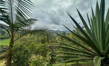 se vende casa finca campestre Guarne, sector la Clara  LM