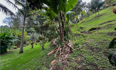 se vende casa finca campestre Guarne, sector la Clara  LM