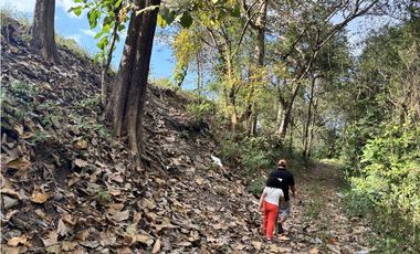 VENDO 10 HECTAREAS EN LA INTERAMERICANA PANAMERICANA  GORGONA