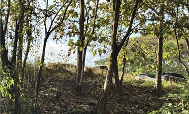 VENDO 10 HECTAREAS EN LA INTERAMERICANA PANAMERICANA  GORGONA