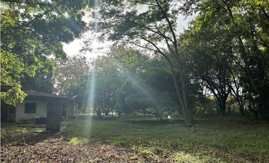 VENDO 10 HECTAREAS EN LA INTERAMERICANA PANAMERICANA  GORGONA