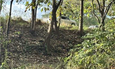 VENDO 10 HECTAREAS EN LA INTERAMERICANA PANAMERICANA  GORGONA