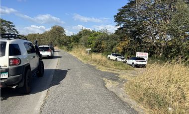 VENDO 10 HECTAREAS EN LA INTERAMERICANA PANAMERICANA  GORGONA