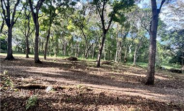 VENDO 10 HECTAREAS EN LA INTERAMERICANA PANAMERICANA  GORGONA