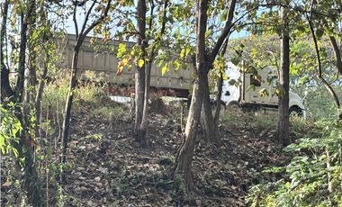 VENDO 10 HECTAREAS EN LA INTERAMERICANA PANAMERICANA  GORGONA