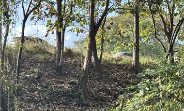 VENDO 10 HECTAREAS EN LA INTERAMERICANA PANAMERICANA  GORGONA