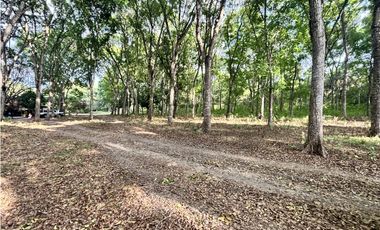 VENDO 10 HECTAREAS EN LA INTERAMERICANA PANAMERICANA  GORGONA