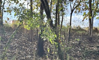 VENDO 10 HECTAREAS EN LA INTERAMERICANA PANAMERICANA  GORGONA