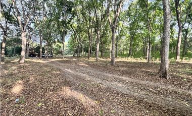 VENDO 10 HECTAREAS EN LA INTERAMERICANA PANAMERICANA  GORGONA