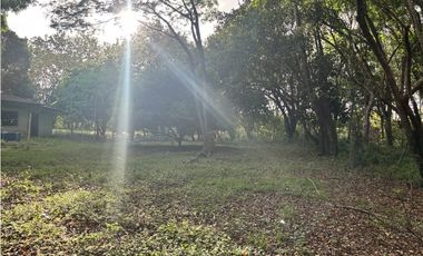 VENDO 10 HECTAREAS EN LA INTERAMERICANA PANAMERICANA  GORGONA