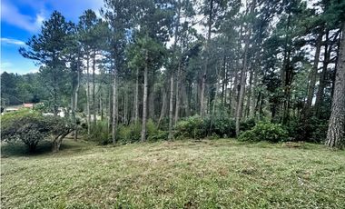 Oportunidad! Se Vende Terreno en Zona Alta - Altos del Maria