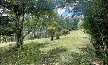 Oportunidad! Se Vende Terreno en Zona Alta - Altos del Maria