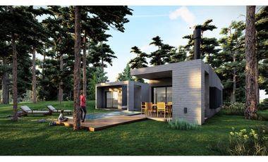 POSITIVE HOUSE VII- TRIDENTE V - PINAMAR