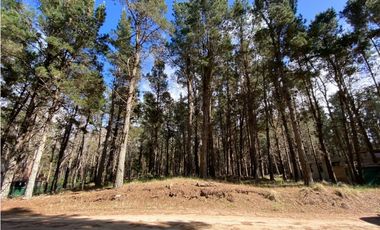 POSITIVE HOUSE X - VILLA ROBLES - PINAMAR