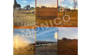 Venta 13 Has en Navarro