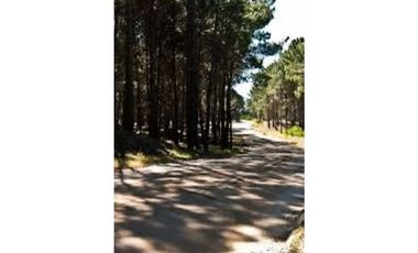 DEPARTAMENTO 3 AMB EN VENTA CENTRO Y PLAYA PINAMAR-RECICLADO A NUEVO!