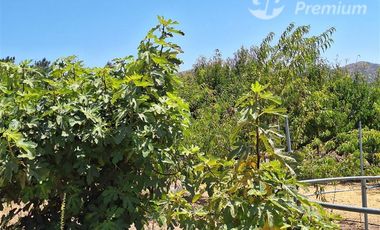 Parcela en Venta en Melipilla Los Maitenes