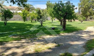 Oficina en Arriendo en Isla de Maipo Centro
