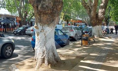 Oficina en Arriendo en Isla de Maipo Centro