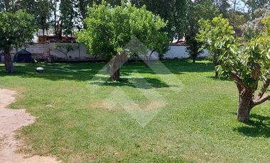 Oficina en Arriendo en Isla de Maipo Centro