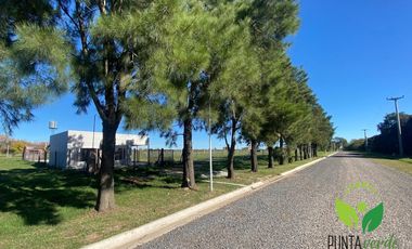 Terreno en  Punta Verde - Lucio V Lopez