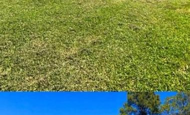Terreno - Campo Timbo