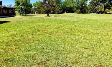 Terreno - Campo Timbo