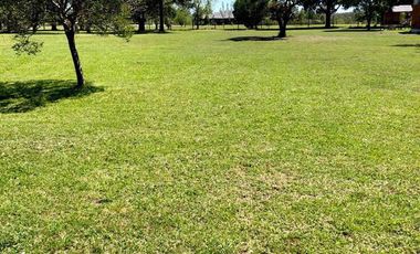 Terreno - Campo Timbo