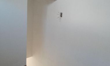 Bloque en venta - 4 dormitorios 2 baños - 95mts2  - La Matanza