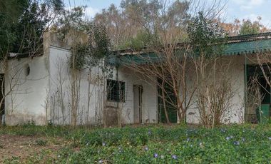 Atención Emprendedores! Venta Campo 30 Has. A pocos metros de la Ruta 192 camino mejorado.