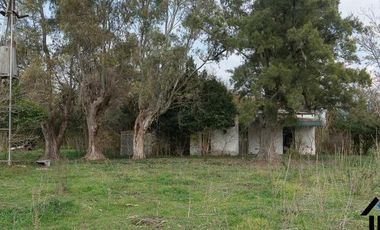 Atención Emprendedores! Venta Campo 30 Has. A pocos metros de la Ruta 192 camino mejorado.