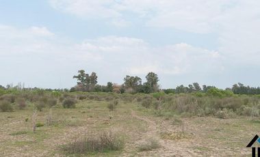 Atención Emprendedores! Venta Campo 30 Has. A pocos metros de la Ruta 192 camino mejorado.