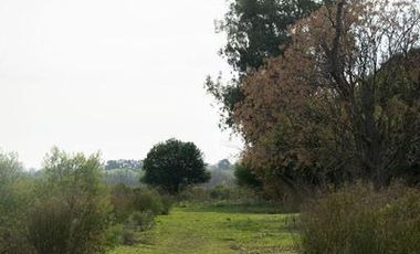 Atención Emprendedores! Venta Campo 30 Has. A pocos metros de la Ruta 192 camino mejorado.