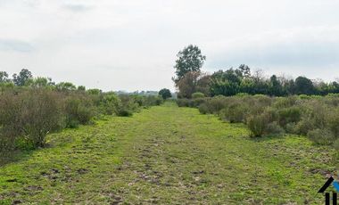 Atención Emprendedores! Venta Campo 30 Has. A pocos metros de la Ruta 192 camino mejorado.