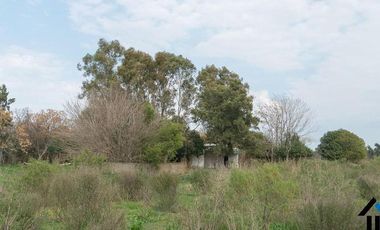 Atención Emprendedores! Venta Campo 30 Has. A pocos metros de la Ruta 192 camino mejorado.